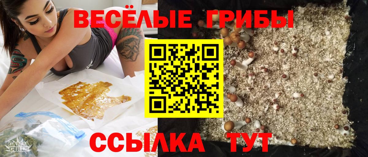 Псилоцибиновые грибы ЛСД  Вход с VPN  Комсомольск-на-Амуре 